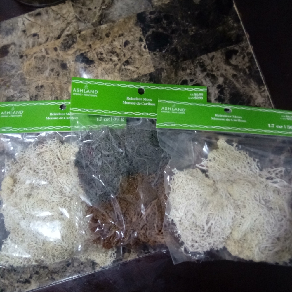 Ashland Reindeer Moss, NIP,  3 PIECE SET.  Color Gray, Cream, Brown, Size 1.7 oz